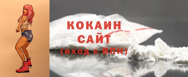 МДПВ Нея