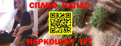 ALPHA PVP Гатчина