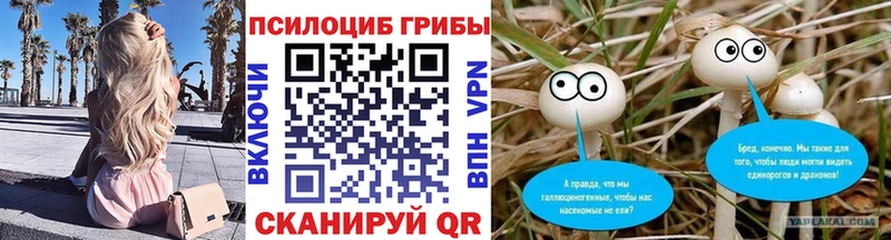Псилоцибиновые грибы прущие грибы  Новоалтайск 