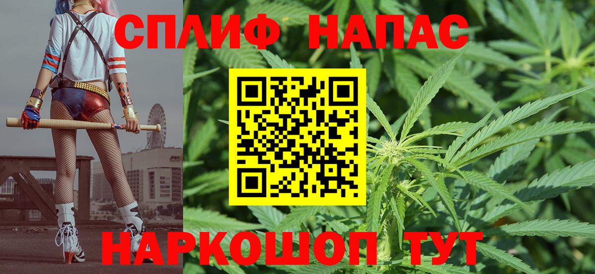 Канабис Amnesia  Бошки марихуана сатива  Вход с VPN  Каннабис Bruce Banner  Бошки марихуана планчик  Новоалтайск 